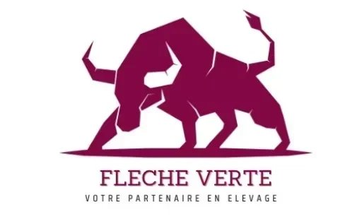 Fleche Verte Logo